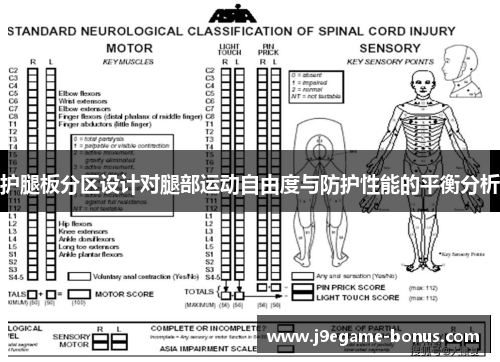 护腿板分区设计对腿部运动自由度与防护性能的平衡分析